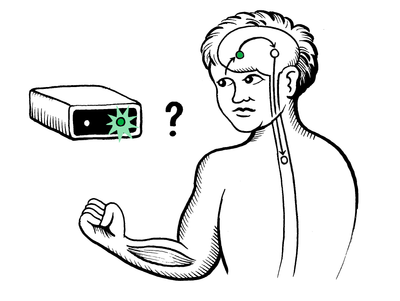 Visual-Motor Reaction Time